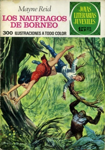 Cover of Los Naufragos de Borneo