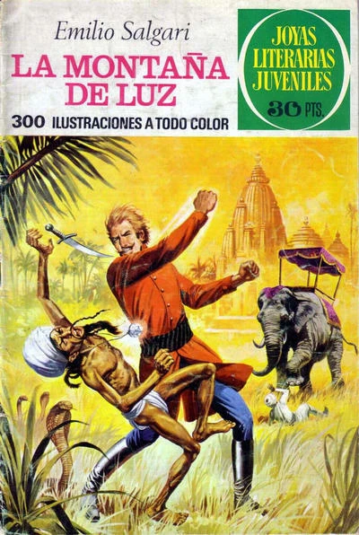 Cover of La montaña de luz