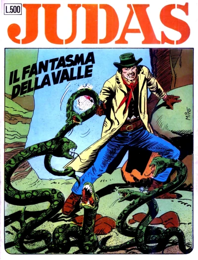 Cover of Il fantasma della valle
