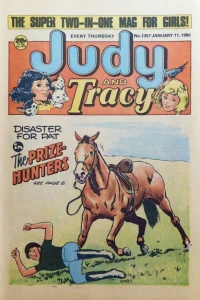 Issue #1357
