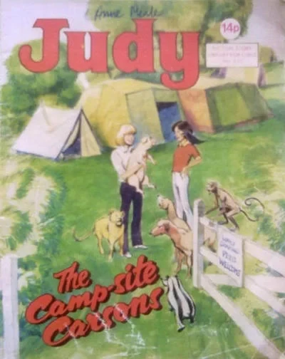 Cover of The Camp-site Carsons