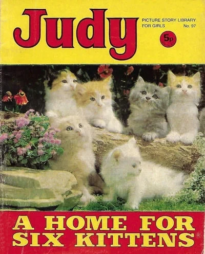 Cover of A Home for Six Kittens