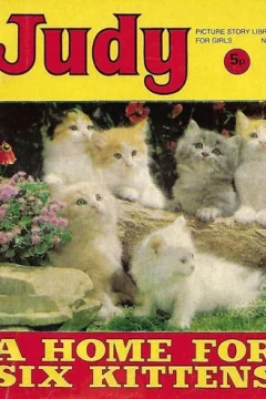 A Home for Six Kittens