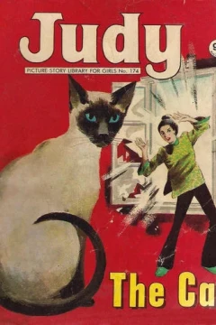 The Cat