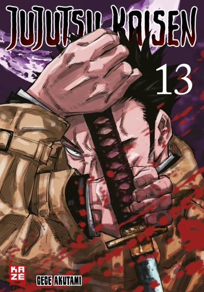 Cover of Band 13