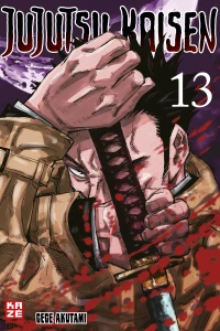 Band 13