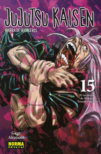 Cover of Issue #15