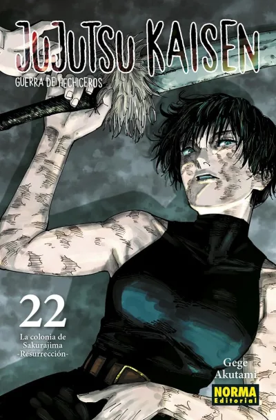 Cover of Volume #22