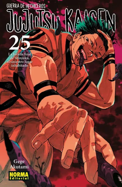 Cover of Volume #25