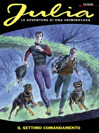Cover of Il Settimo Comandamento