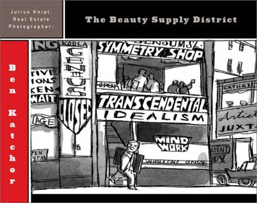 Cover of Julius Knipl, Real Estate Photographer: The Beauty Supply District