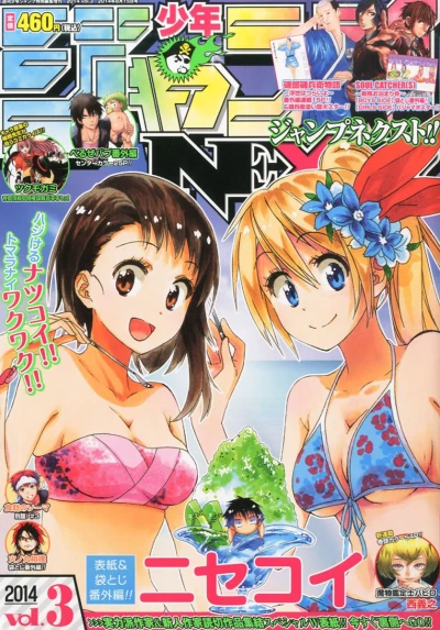 Cover of Vol. 3, 2014