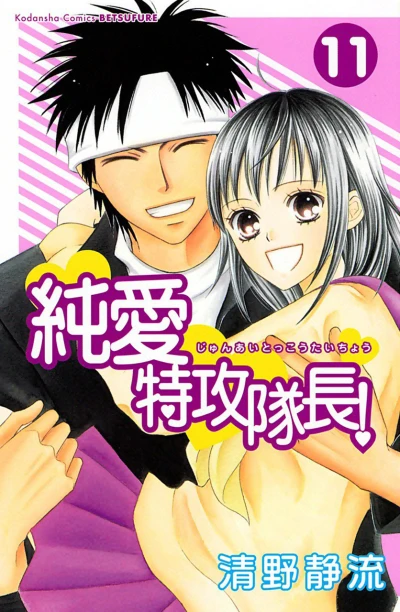 Cover of Vol. 11