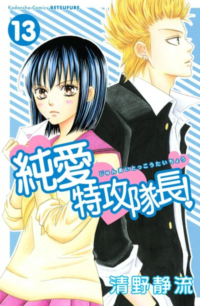 Cover of Vol. 13