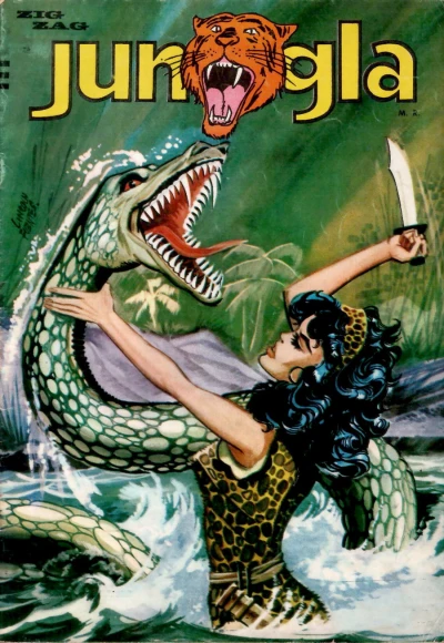 Cover of Mawa y los tambores de la selva silenciosa