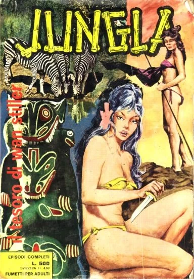 Cover of Il tesoro di wan stiller