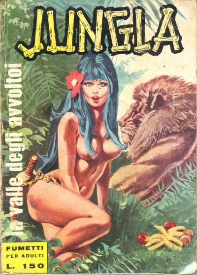 Cover of La Valle degli avvoltori