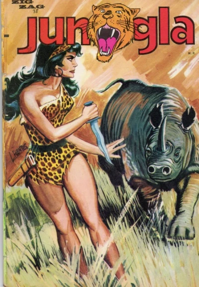 Cover of Mawa y las Amazonas
