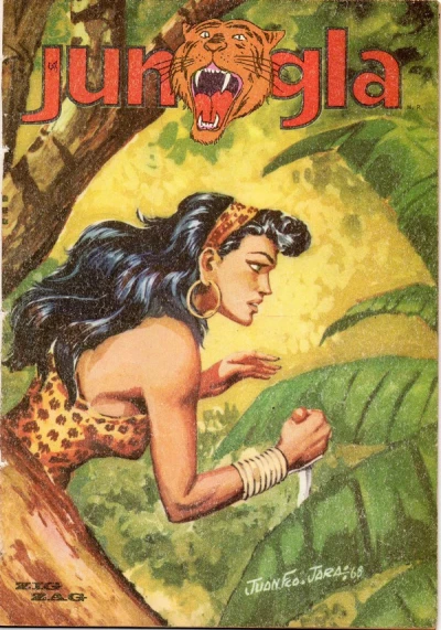 Cover of Mawa y la patrula perdida
