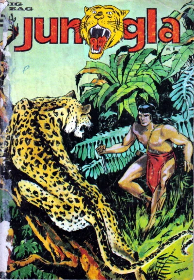 Cover of Mawa y las pirañas