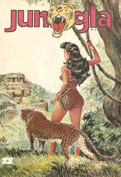 Cover of Mawa y los dioses perdidos