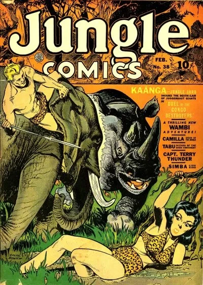 Cover of Duel of the Congo Destroyers