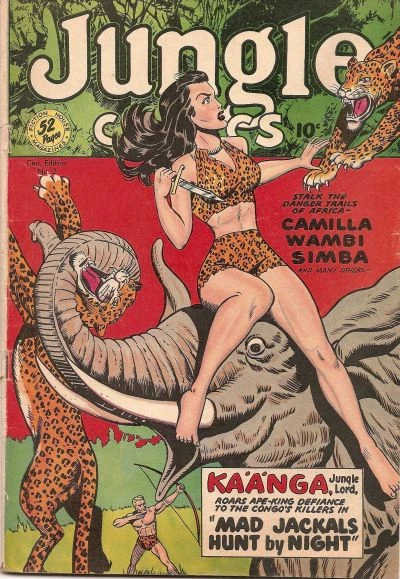 Cover of Kaänga