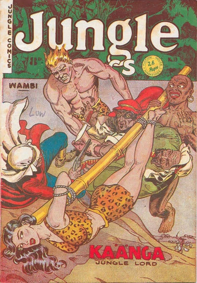 Cover of Issue #13