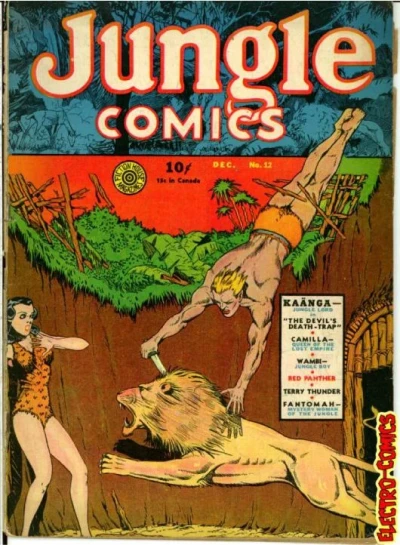 Cover of Issue #12