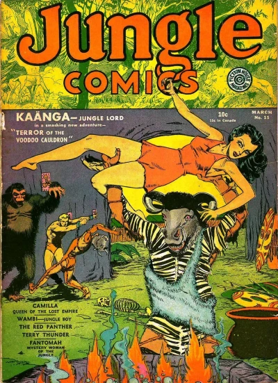 Cover of Issue #15