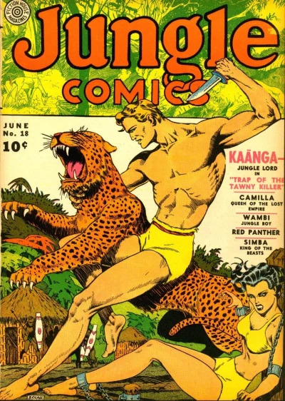 Cover of Issue #18