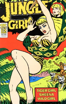 Cover of Issue #12