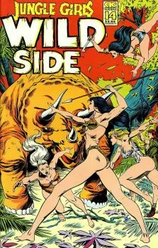 Cover of Issue #14