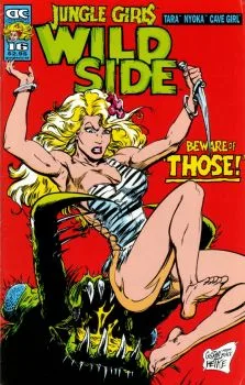 Cover of Issue #16