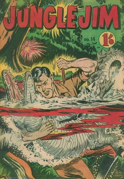 Cover of Issue #14