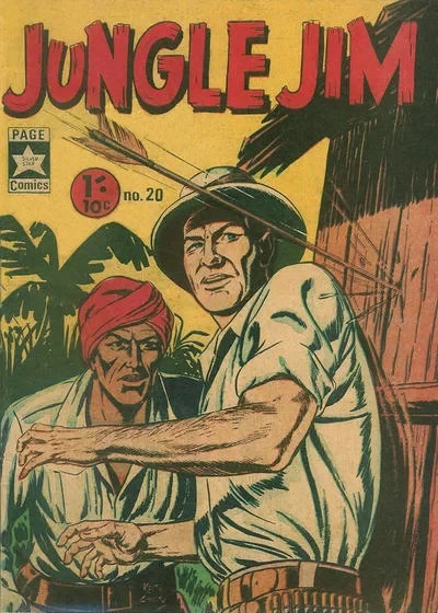 Cover of Issue #20