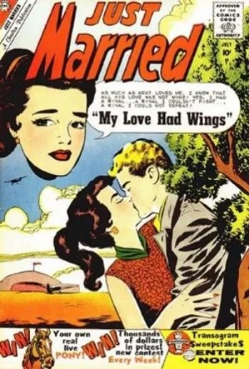 Cover of My Love Had Wings