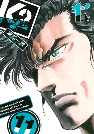 Cover of Vol. 11