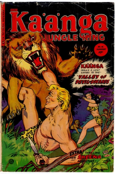 Cover of Valley of the Devil-Dwarfs