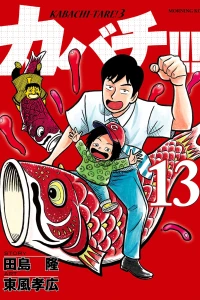 Vol. 13