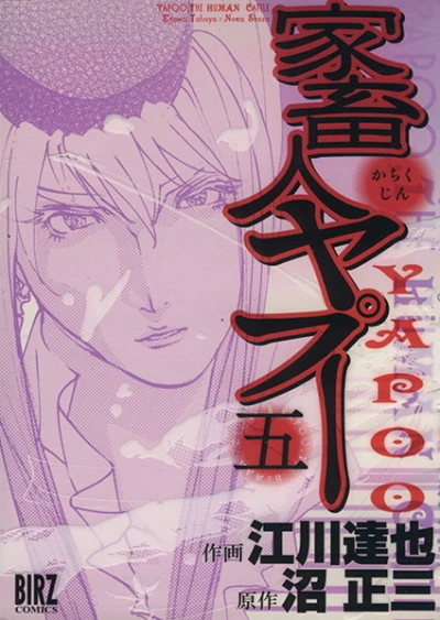 Cover of Vol. 5