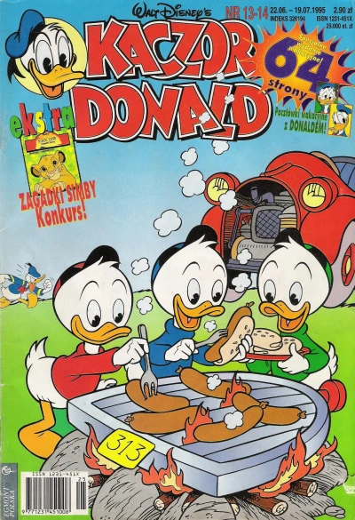 Cover of Issue #199513-14