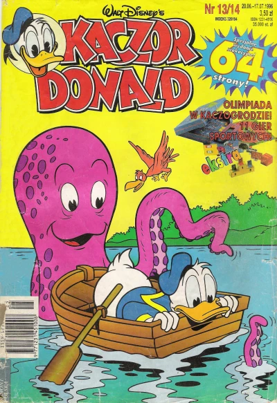 Cover of Issue #199613-14