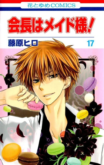 Cover of Vol. 17