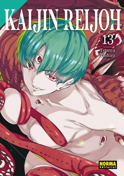 Cover of Issue #13