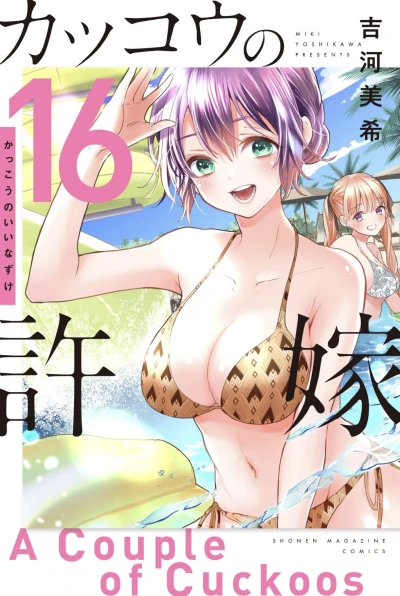 Cover of Volume 16