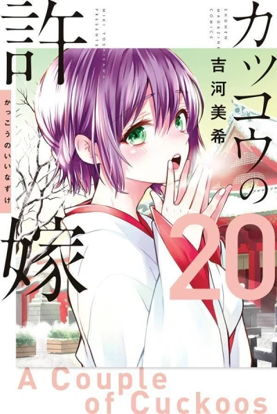 Cover of Volume 20