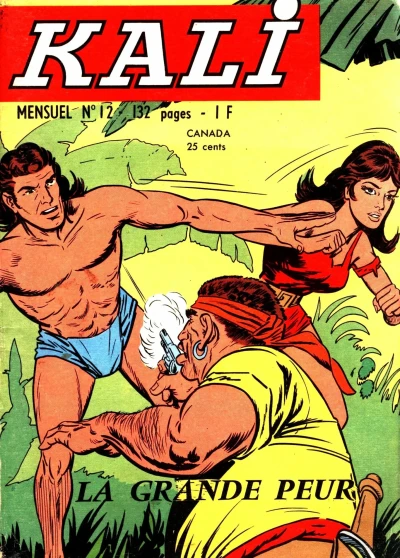 Cover of Issue #12