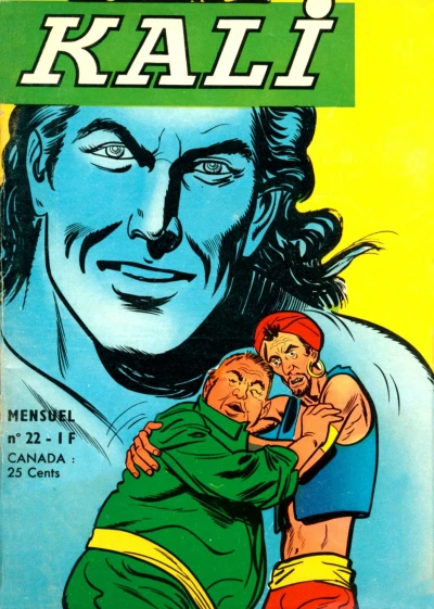 Cover of Issue #22
