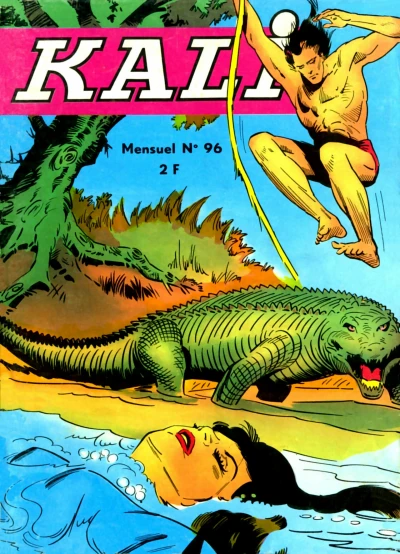 Cover of Issue #96